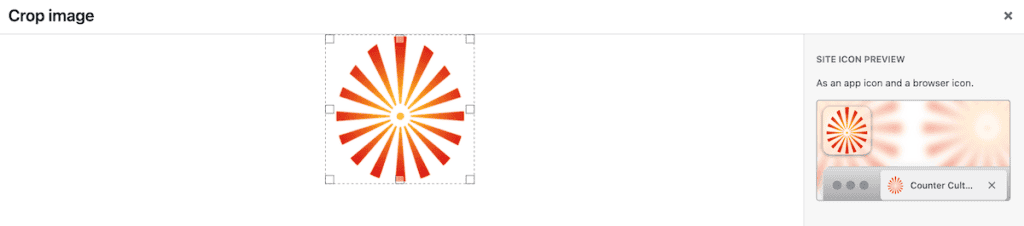 Wordpress Favicon General Settings Crop Image