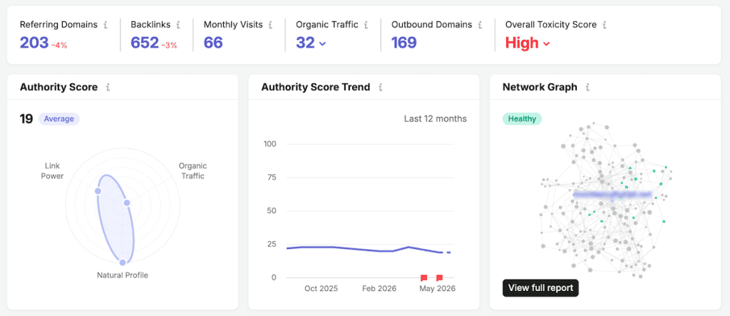 Disavow Links Semrush Backlink Overview