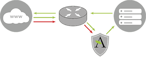 trasmissione dei dati durante un attacco DDoS